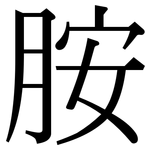 胺: 宋體(明體) 胺: 宋體(明體)