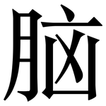 脑: 宋體（明體）