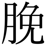 脕: 宋體（明體）