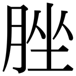脞: 宋體（明體）