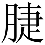 脻: 宋體（明體）