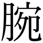 腕: 宋體（明體）