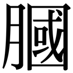 膕: 宋體（明體）