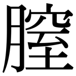 膣: 宋體（明體）