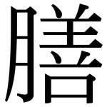 膳: 宋體（明體）
