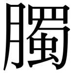 臅: 宋體（明體）