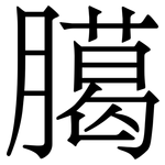 臈: 宋體（明體）