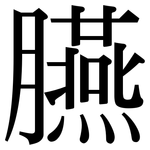 臙: 宋體（明體）
