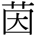 茵: 宋體（明體）