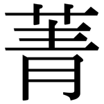 菁: 宋體（明體）
