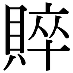 賥: 宋體（明體）