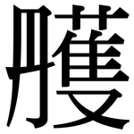 雘: 宋體（明體）