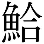鮯: 宋體（明體）