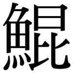 鯤: 宋體（明體）