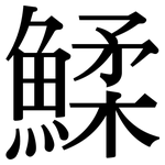 鰇: 宋體（明體）