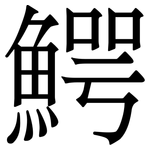 鰐: 宋體（明體）