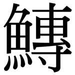 鱄: 宋體（明體）