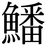 鱕: 宋體（明體）