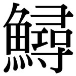 鱘: 宋體（明體）