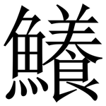 鱶: 宋體（明體）