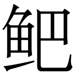 鲃: 宋體（明體）