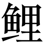 鲤: 宋體（明體）