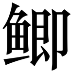 鲫: 宋體（明體）