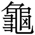 龜