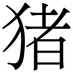 猪