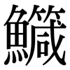 鱵: 宋體（明體）