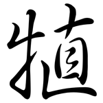 犆: 行書