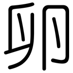 卵: 圓體 卵: 圓體