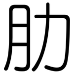 肋: 圓體