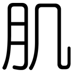 肌: 圓體 肌: 圓體