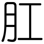 肛: 圓體