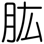 肱: 圓體