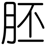 胚: 圓體