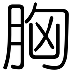 胸: 圓體 胸: 圓體