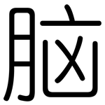 脑: 圓體
