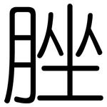 脞: 圓體