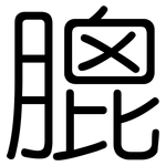 膍: 圓體