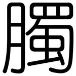 臅: 圓體