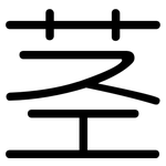 茎: 圓體 茎: 圓體