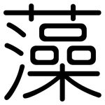 藻: 圓體 藻: 圓體