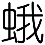 蛾: 圓體