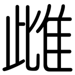 雌: 圓體
