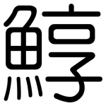 鯙: 圓體