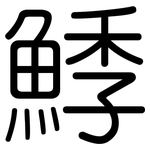 鯚: 圓體