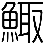 鯫: 圓體