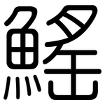 鰩: 圓體